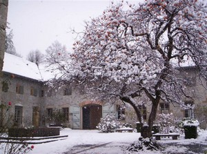 Cloître en hiver