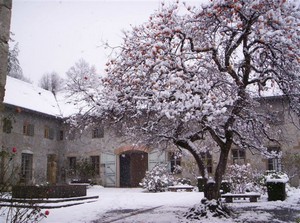 Cloître en hiver